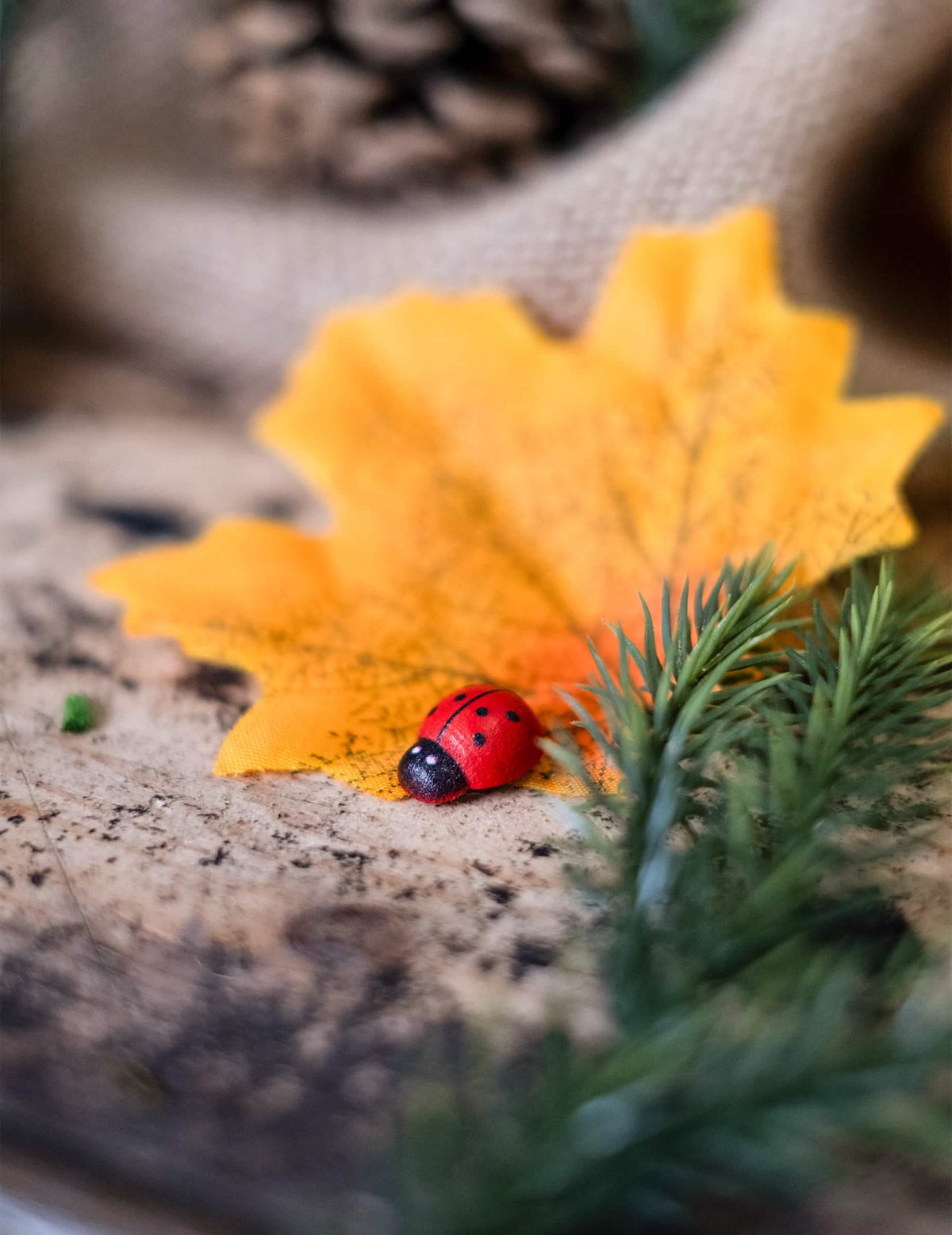 Mise en situation sur une feuille d'automne des coccinelles en bois coccinelle