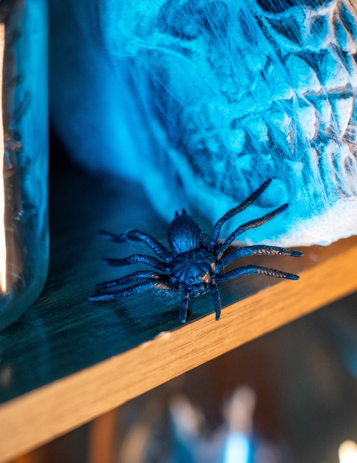 Gros plan d'une araignée sur une étagère du lot de 12 araignées Halloween