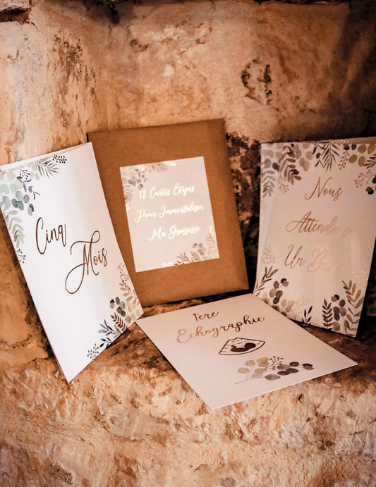 Détail de plusieurs modèles du lot de 18 cartes étapes de grossesse oh baby