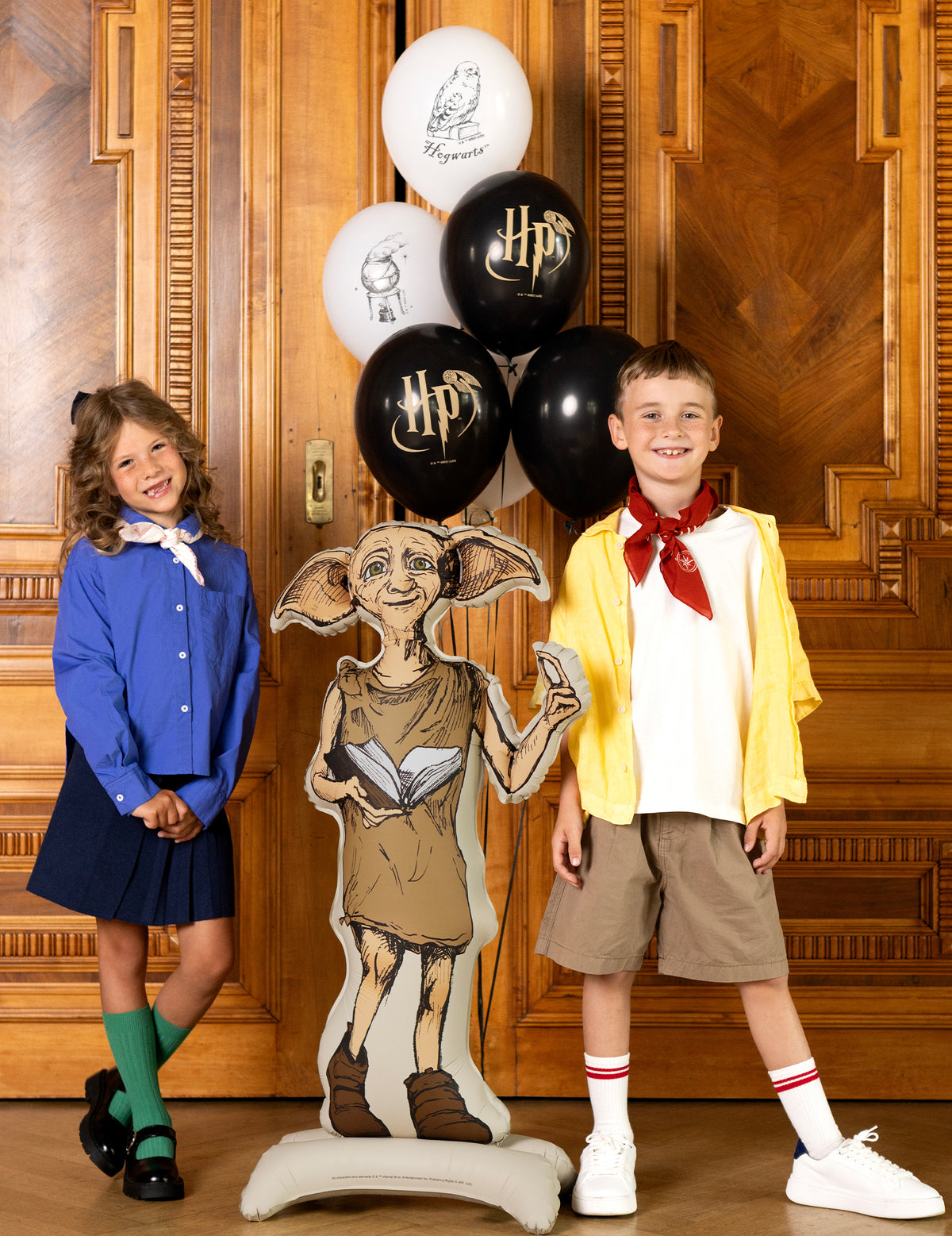Ballon aluminium sur pied Harry Potter™ Dobby 54x105 cm