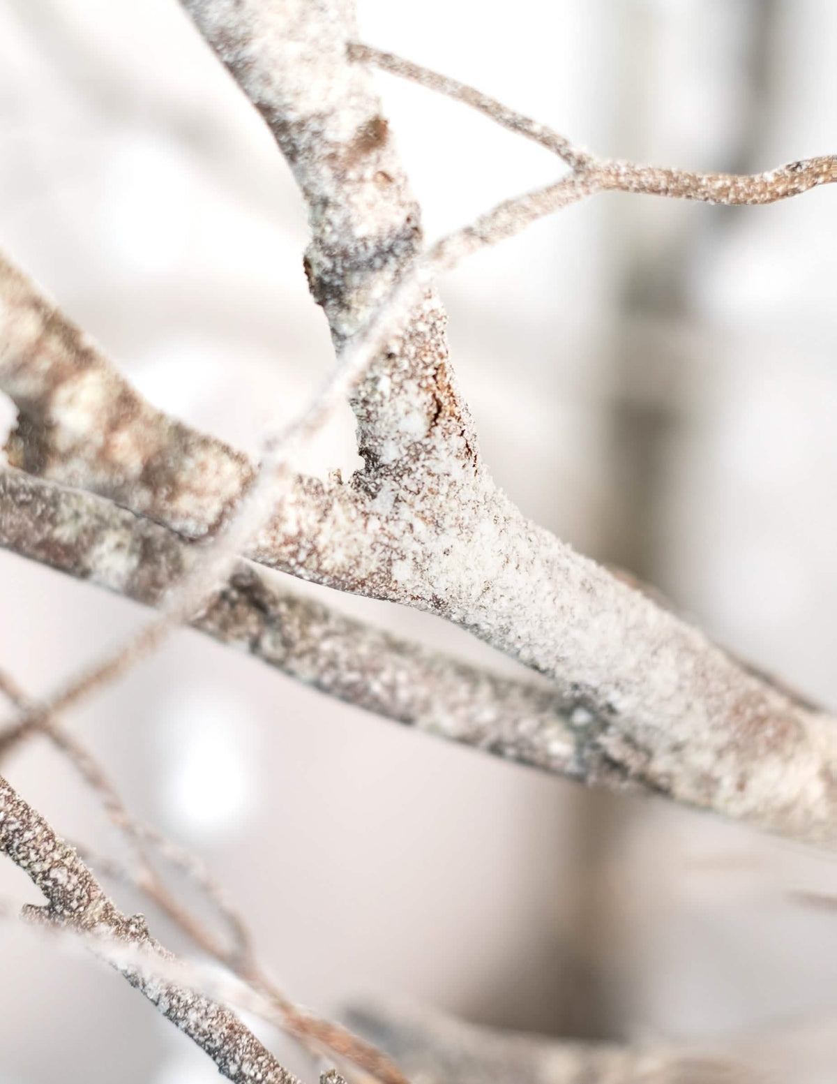 Détail de l'effet de neige sur des branches du bombe spray neige Noël