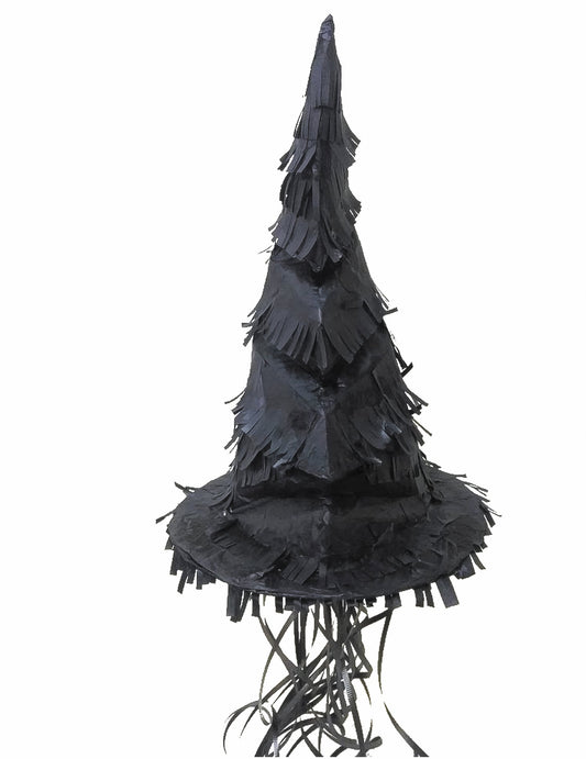 Vue d'ensemble de la pinata chapeau apprenti sorcier