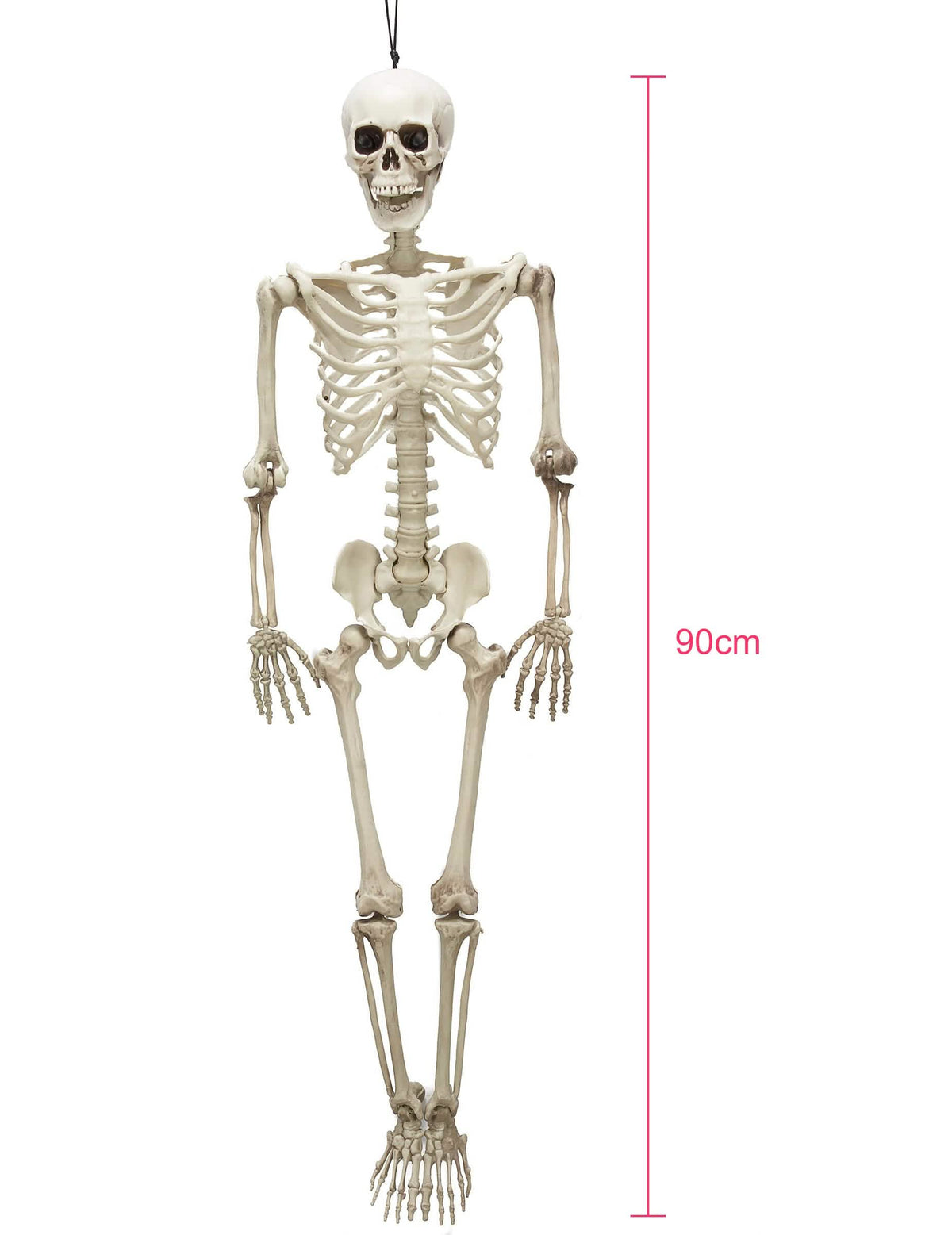 Yleiskatsaus nivelletystä halloween-luurangosta mittakaavassa