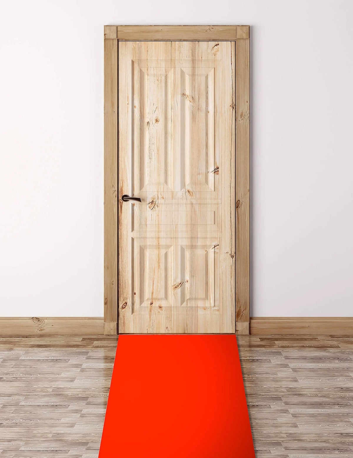 Mise en situation devant une porte du tapis rouge VIP pour fête
