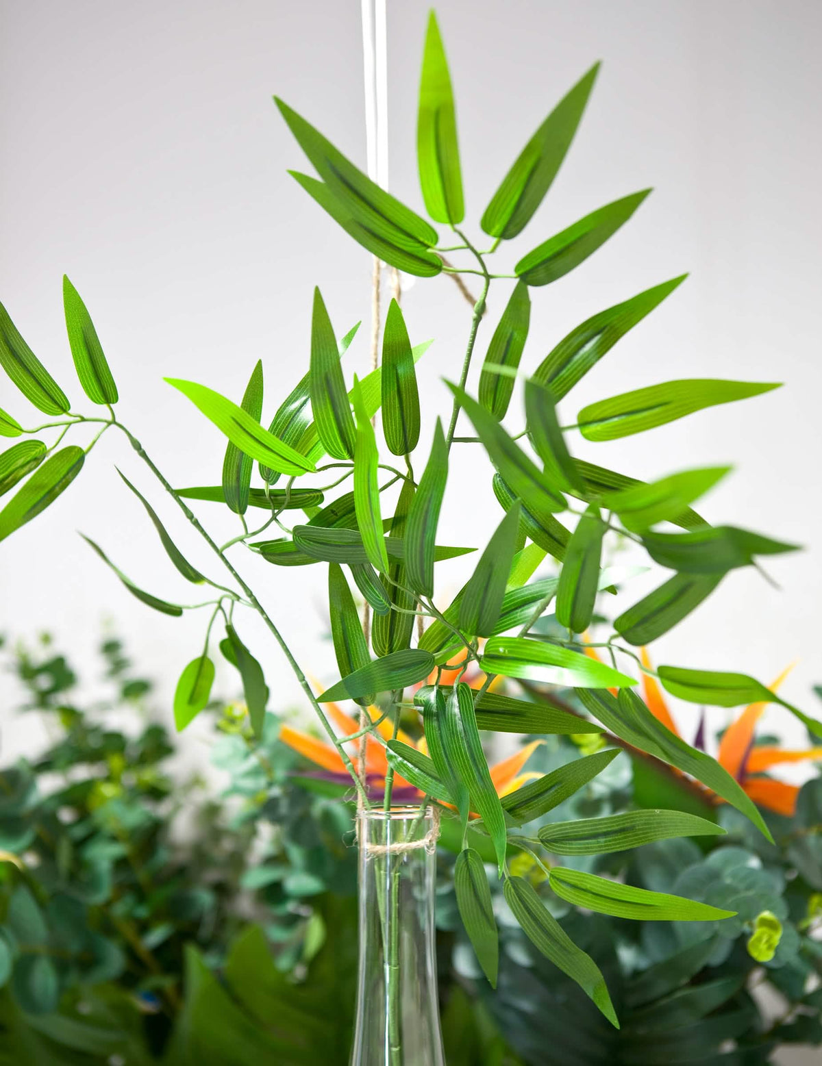 Mise en situation dans un vase de la tige de bambou tropicale pour décoration