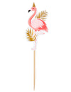 Vue d'ensemble du lot de 12 pics en bois Flamant Tropic