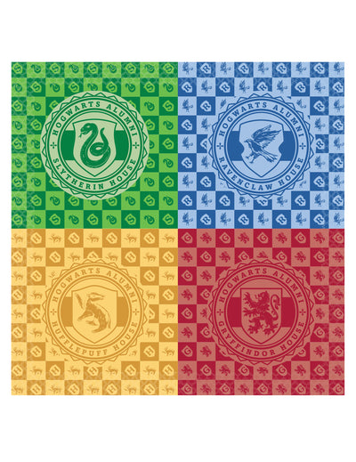 16 Harry Potter™ Tuvat paperilautasliinaa