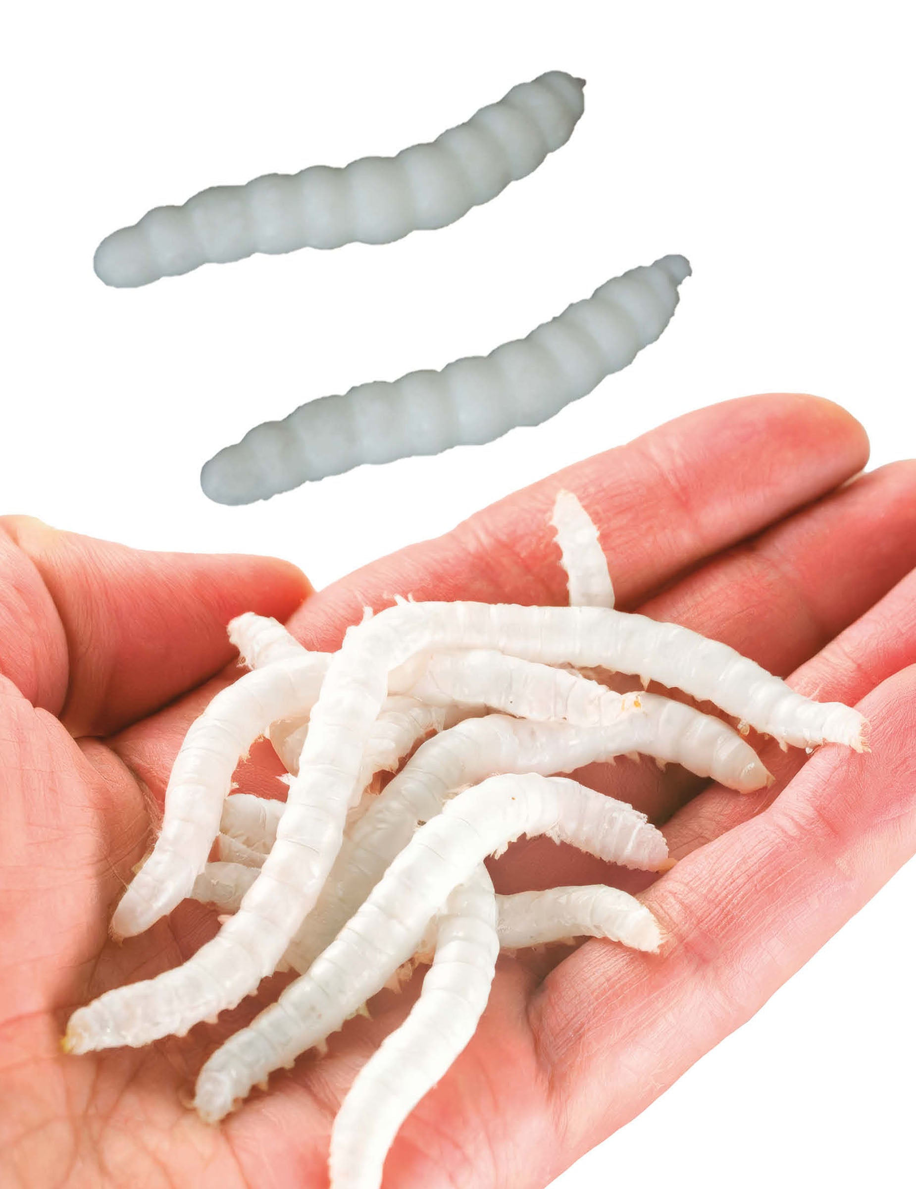 Lot de 20 asticots factices pour décoration blancs