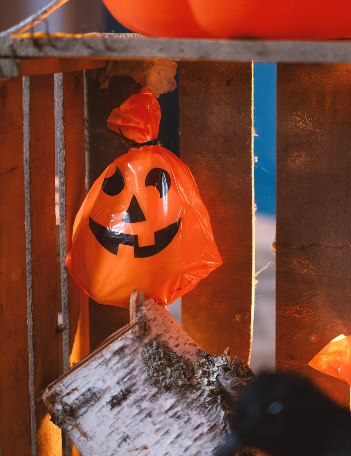 Lähikuva muovipussista, jossa on kurpitsoja halloweenia varten