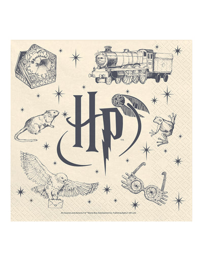 20 Harry Potter™ -lautasliinaa 33 x 33 cm