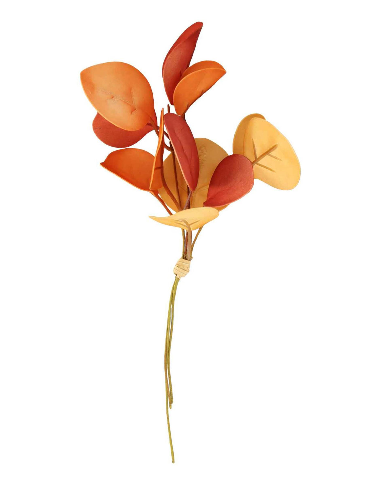 3 oranssia eukalyptuksen oksaa vaahtomuovista varrella 20 cm