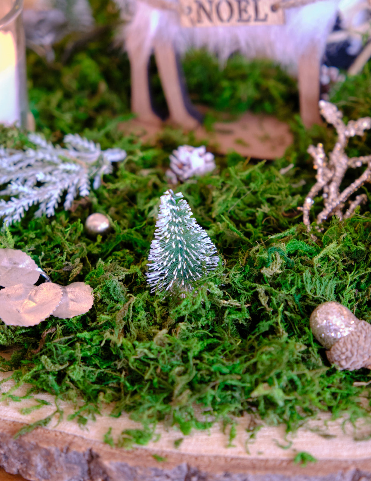 Mise en situation sur de la mousse des petits sapins artificiels de Noël pour décoration