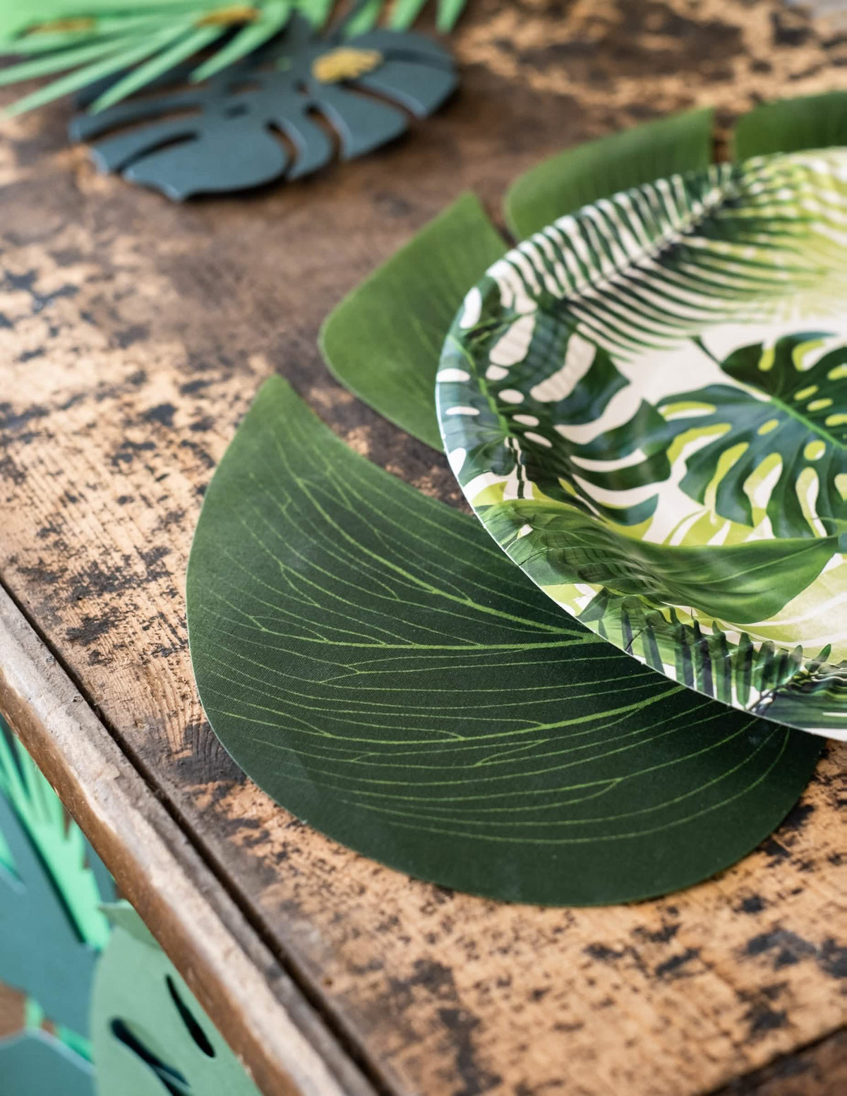 Monstera-lehtien tekstuurin yksityiskohta koristeluun