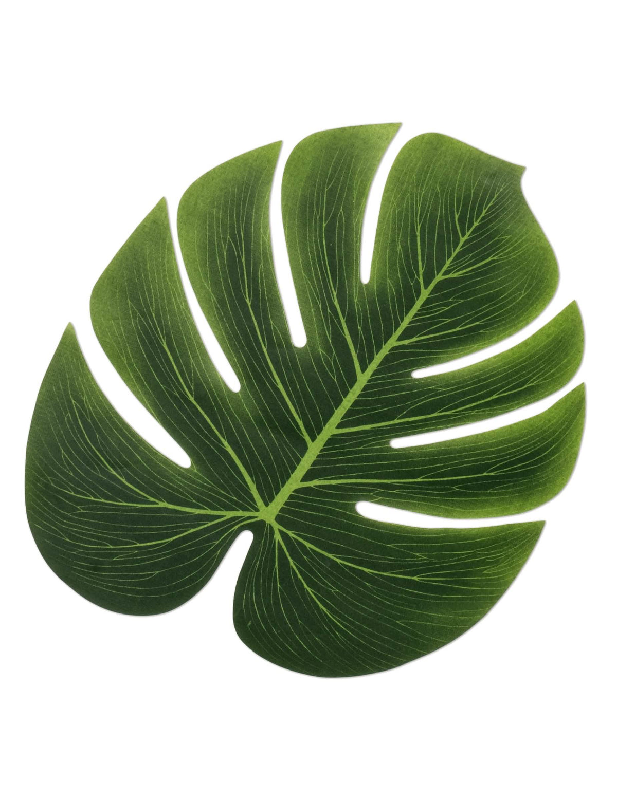 Monstera-lehdet koristeluun vihreästä muovista