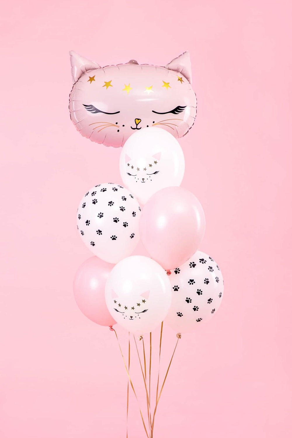 Vue d'ensemble du bouquet des ballons en latex chats pour décoration