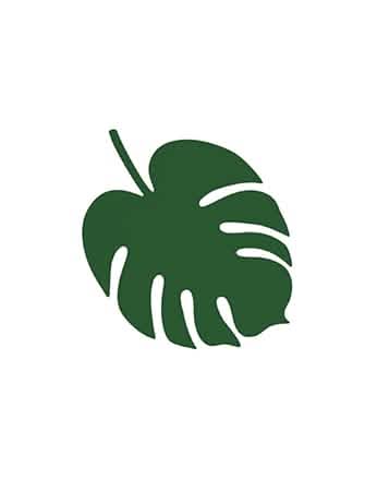 Mise en situation sur une assiette des décorations de table feuille Hawaï monstera