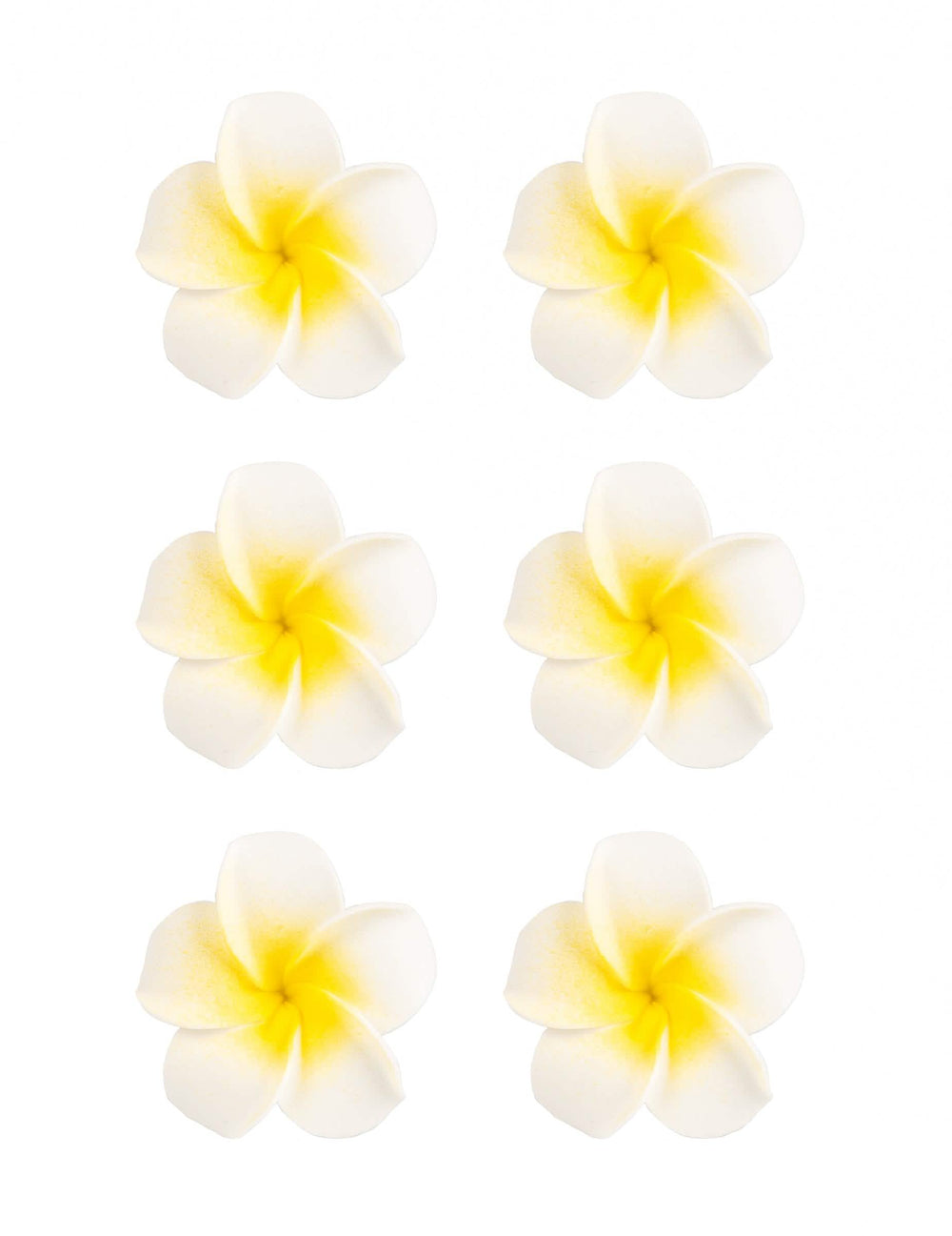 6 fleurs de monoï artificielles pour décoration blanches en mousse adhésives