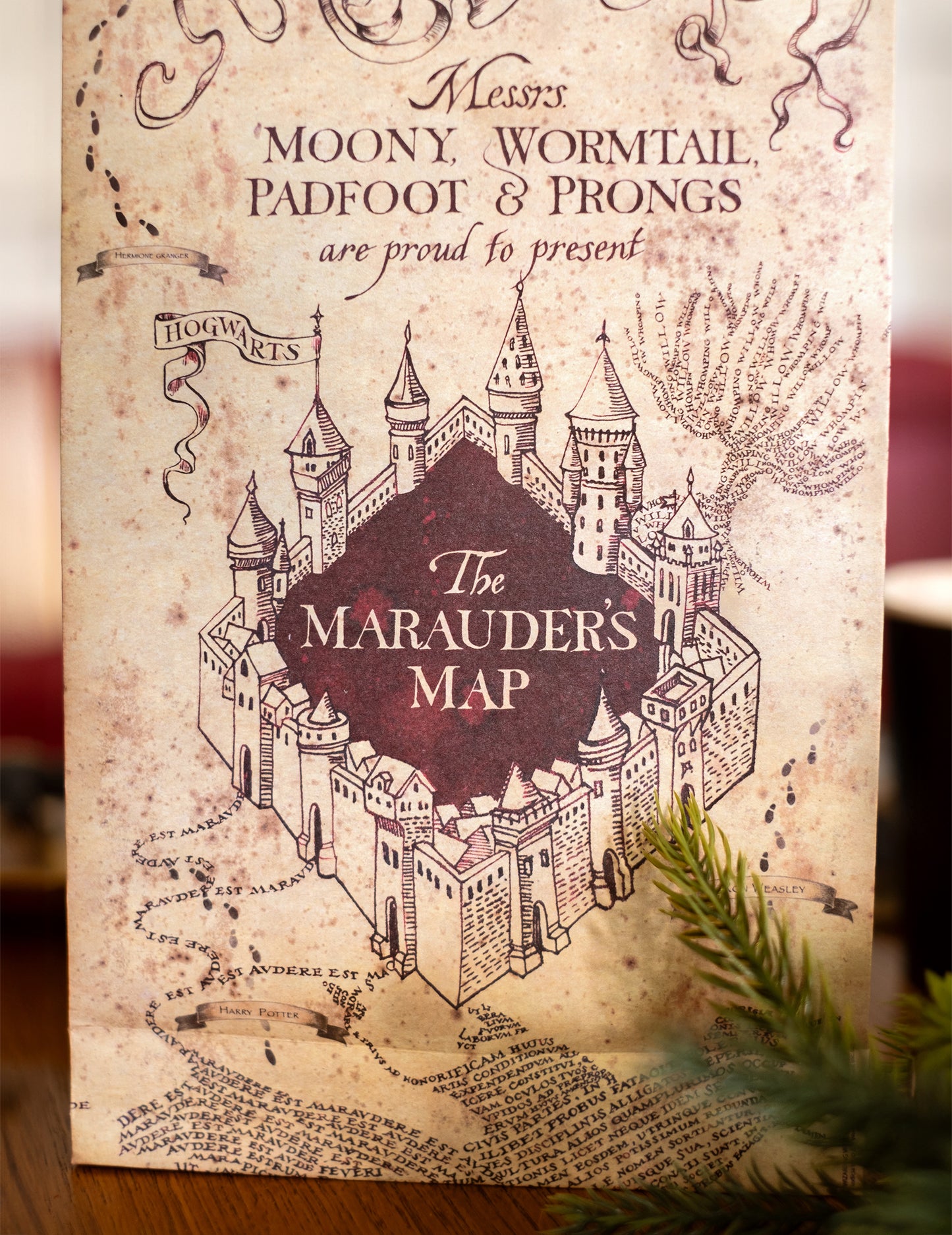 Gros plan sur le motif de la Carte du Maraudeur des sacs cadeaux Harry Potter