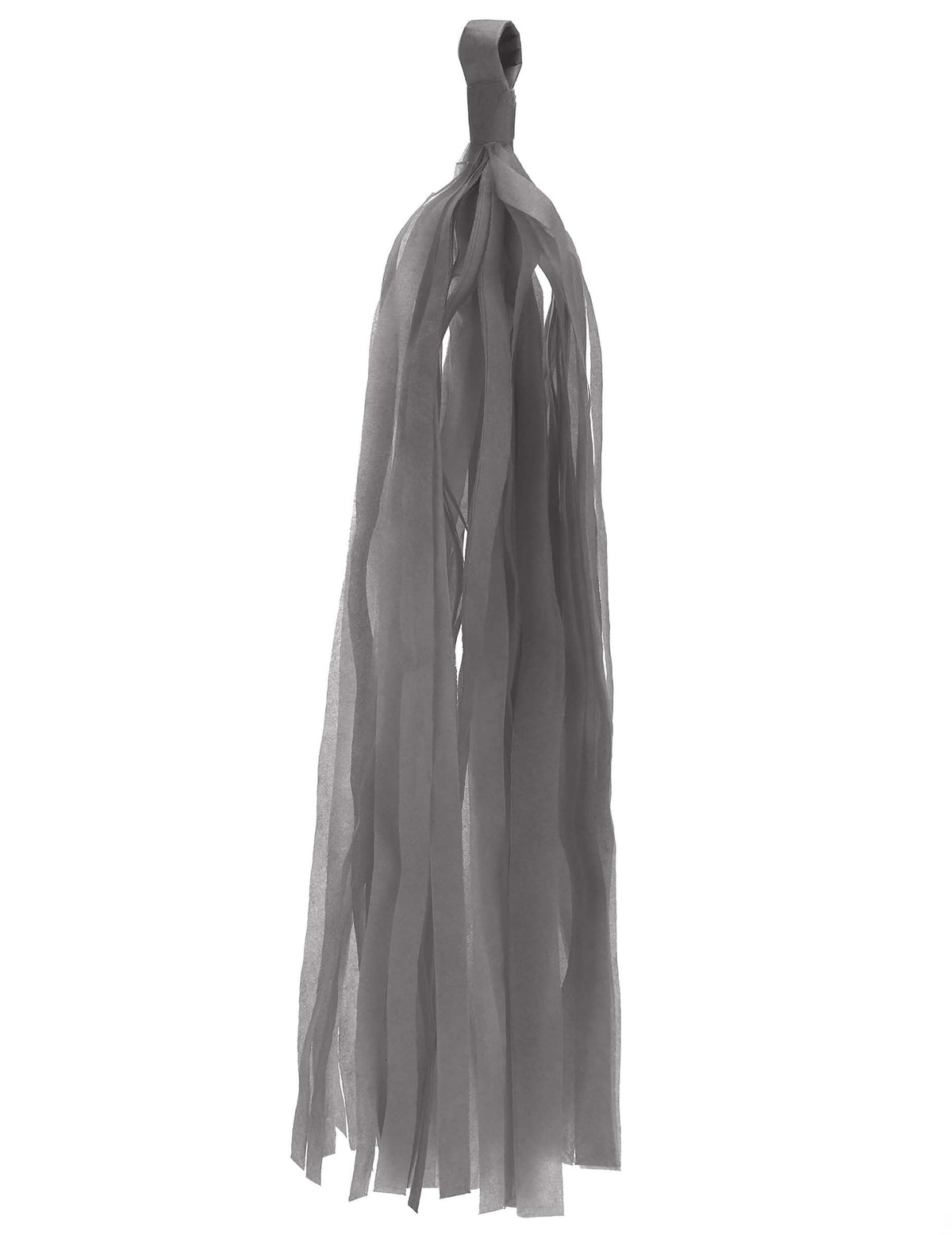 Guirlande du pompon tassel pour décoration de fête