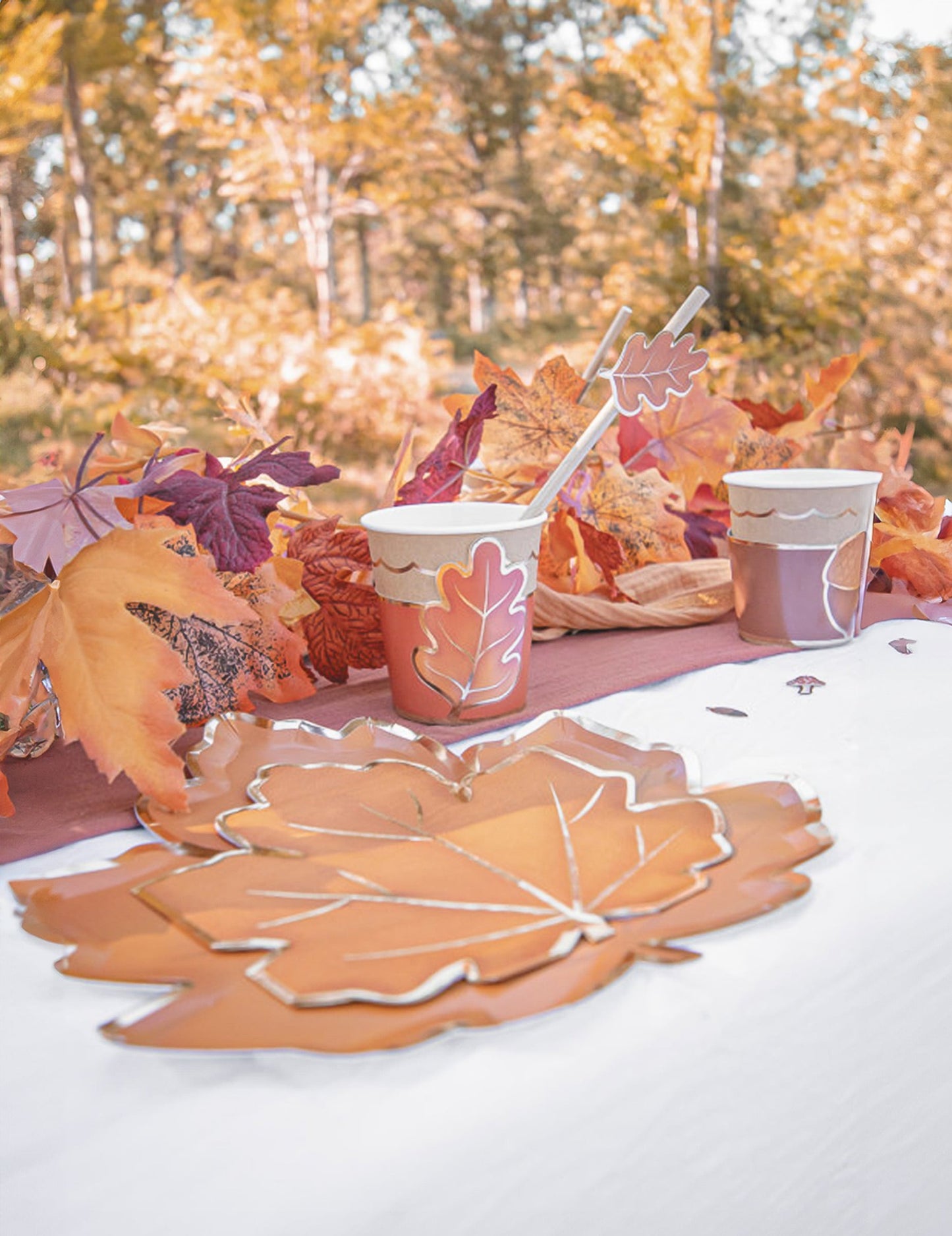 Mise en scène champêtre des assiettes en carton feuille d'automne