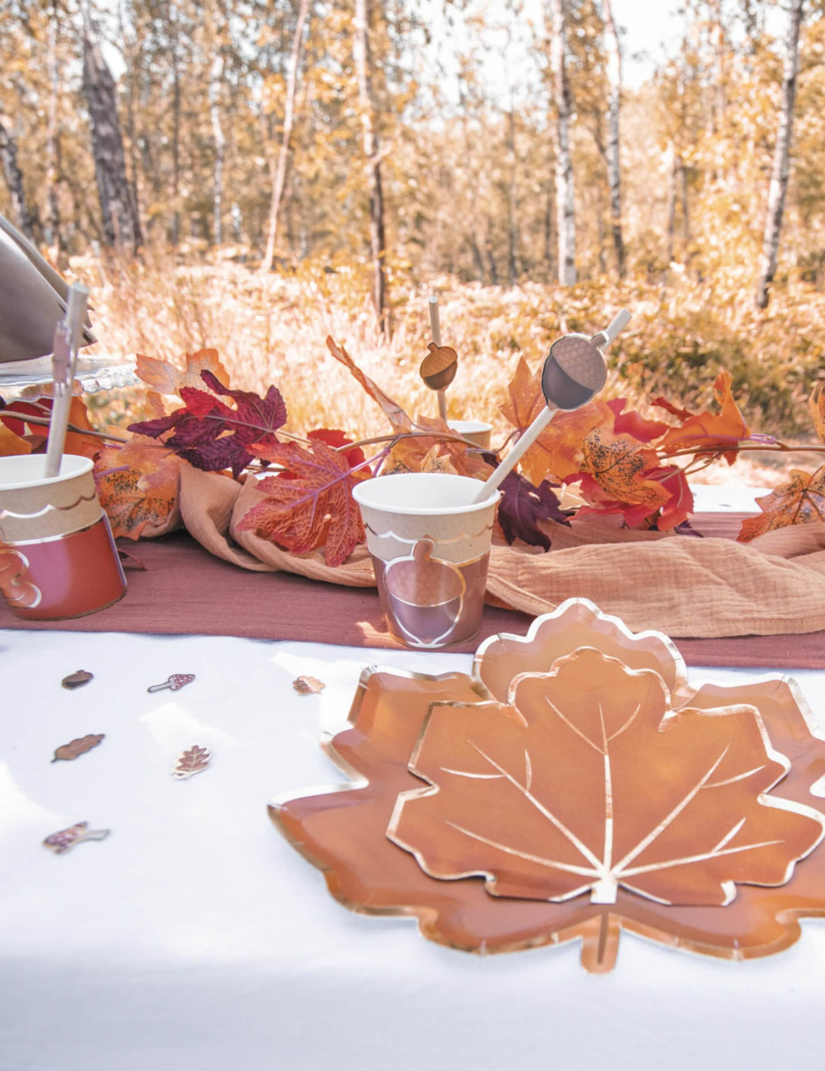 Vue rapprochée sur la table de fête des assiettes en carton feuille d'automne