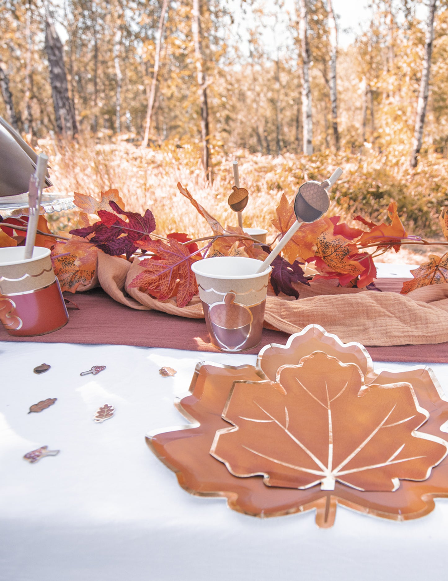 Vue rapprochée sur la table de fête des assiettes en carton feuille d'automne