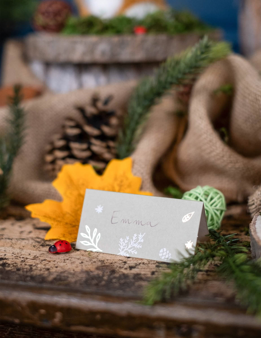 Mise en situation avec décor naturel du marque-places Noël botanique pour table