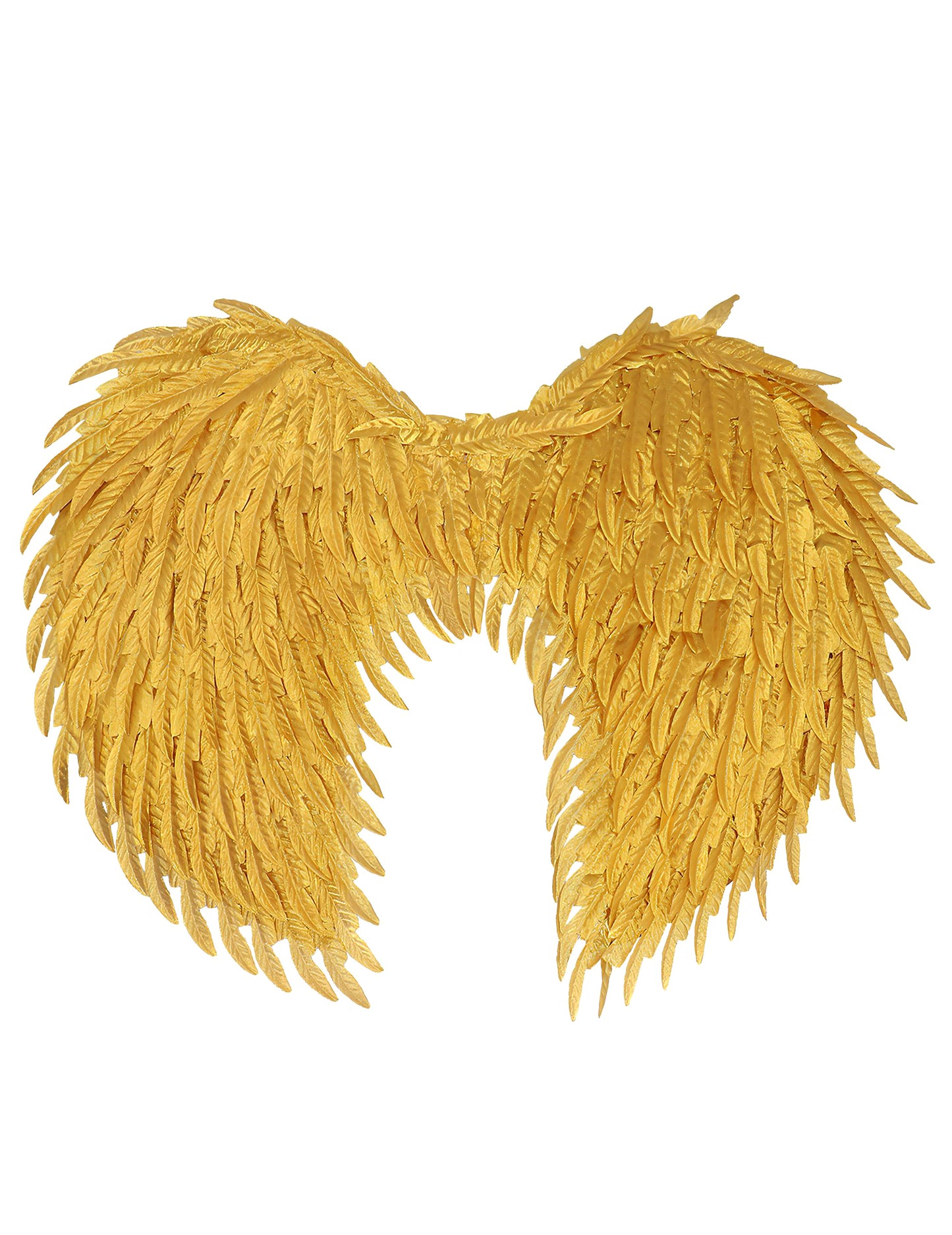 Vue de face des ailes d'ange glamour