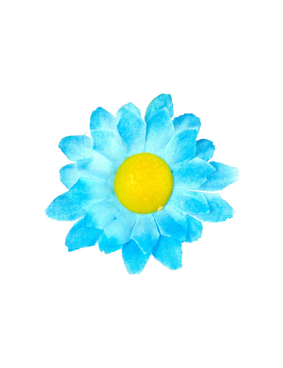 Gros plan sur une fleur des fleurs marguerites pour décoration