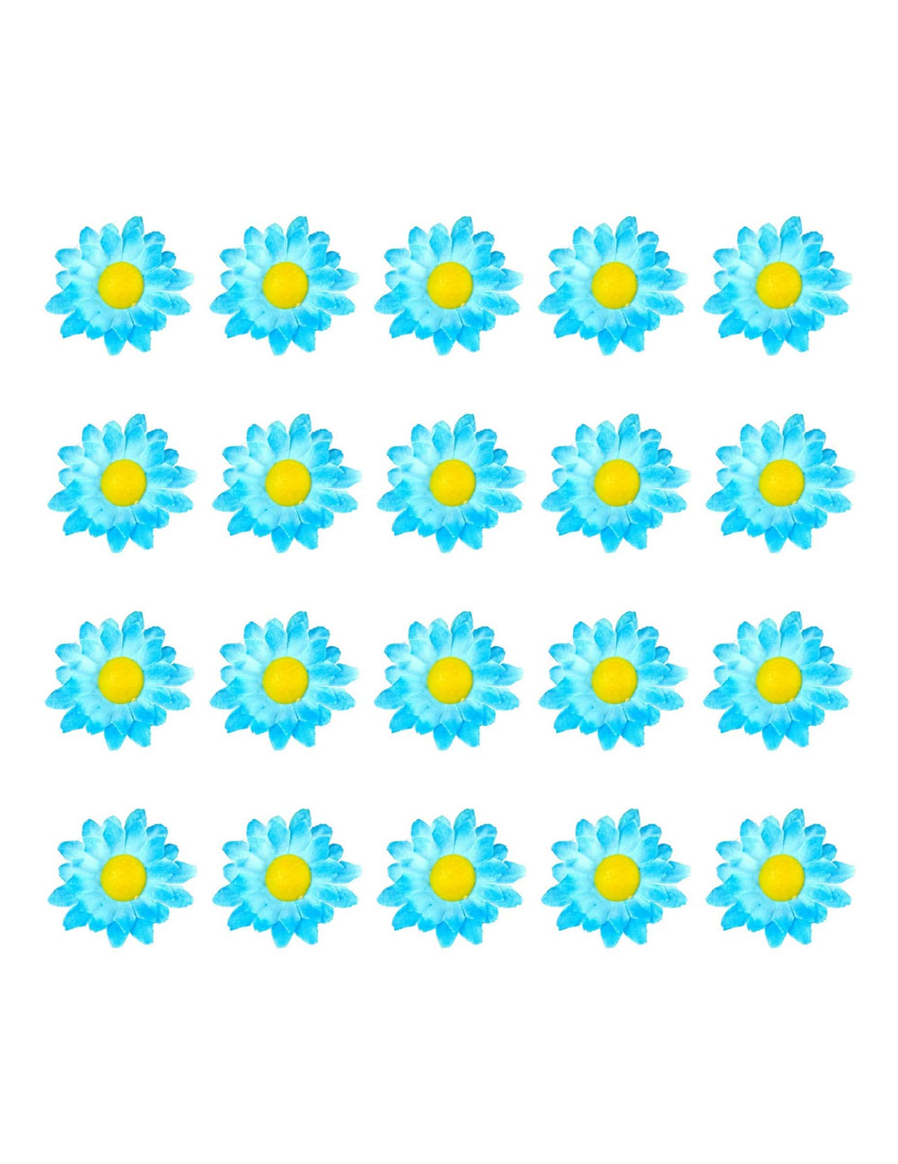 Vue d'ensemble des 20 unités des fleurs marguerites pour décoration