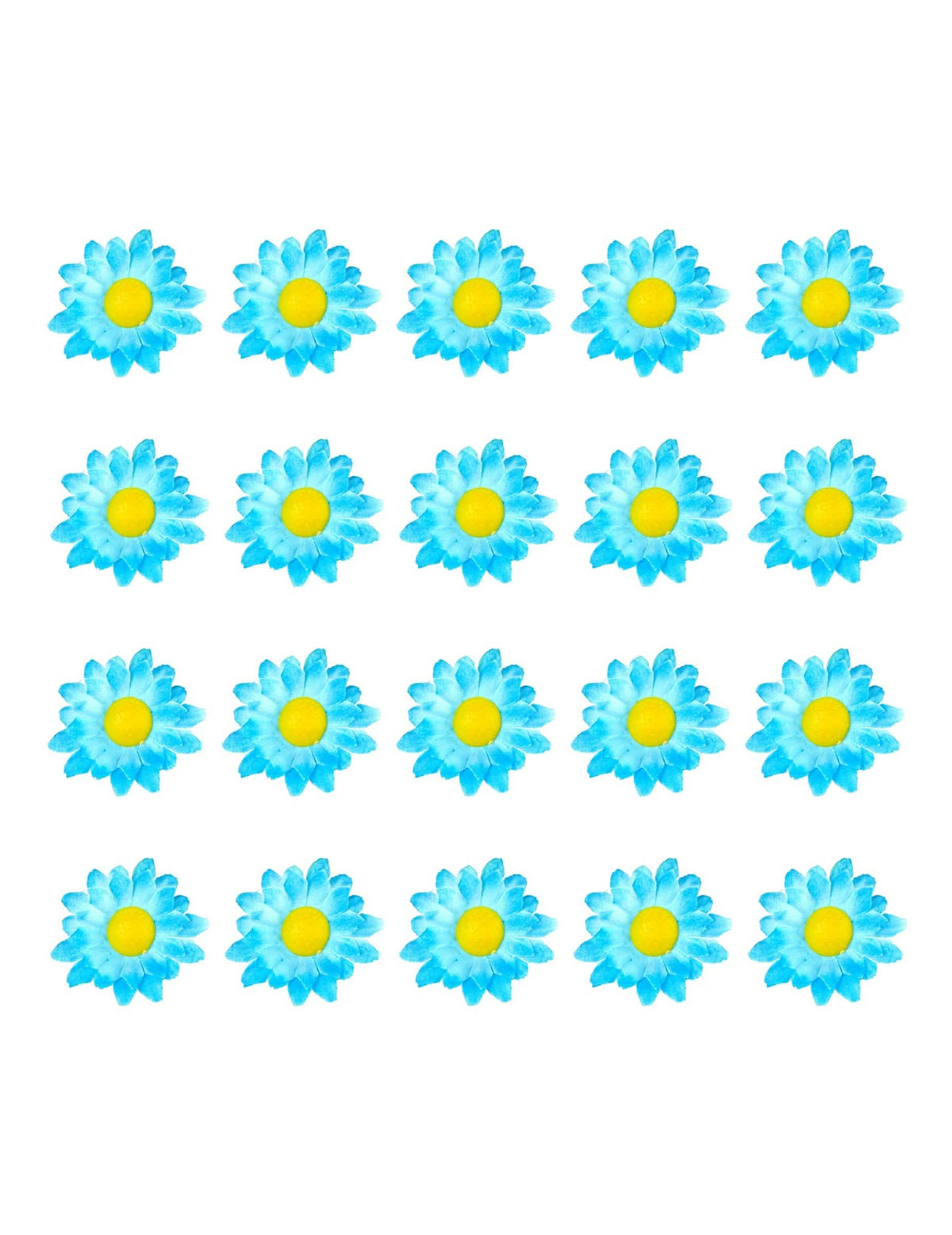 Vue d'ensemble des 20 unités des fleurs marguerites pour décoration