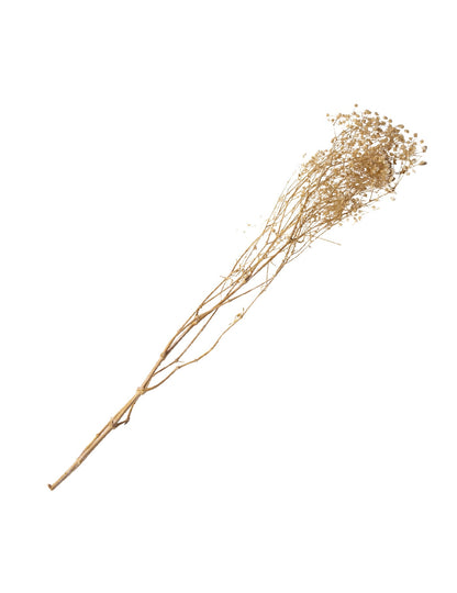 Bouquet de gypsophiles séchées pour décoration de mariage blanc