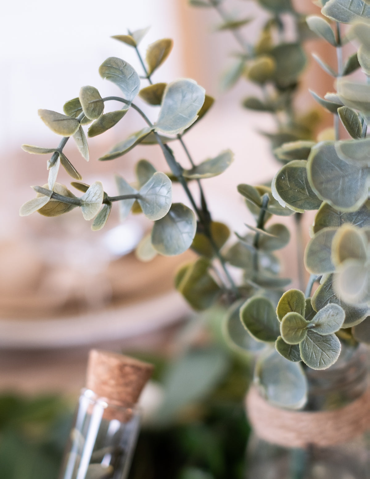 Gros plan sur les feuilles du bouquet de feuilles d'eucalyptus végétal pour décoration