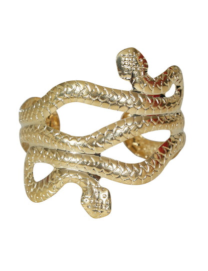 Gros plan sur les détails du bracelet serpent