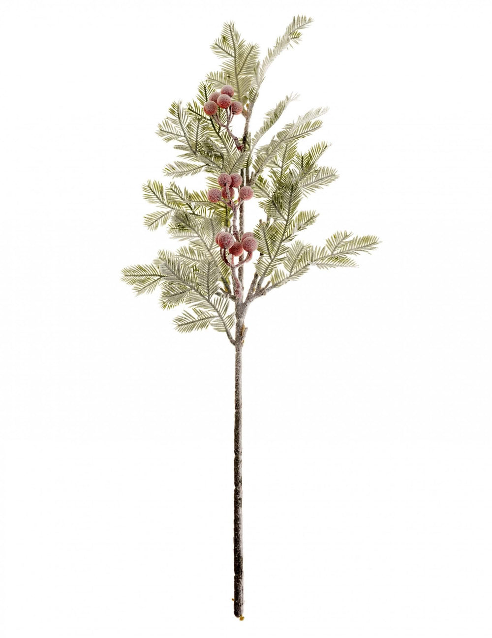 Branche de sapin avec baies rouges pour décoration de Noël vert et rouge givré