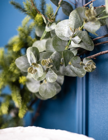 Gros plan sur les feuilles de la branche d'eucalyptus décoration naturelle