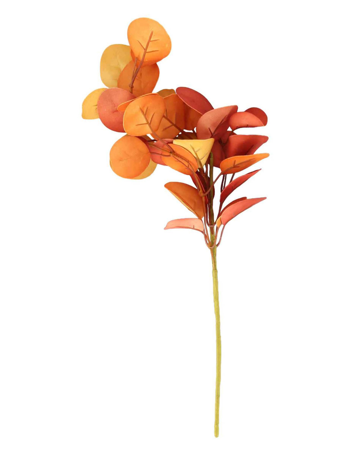 Oranssi eukalyptuksen oksa vaahtomuovista 40 cm