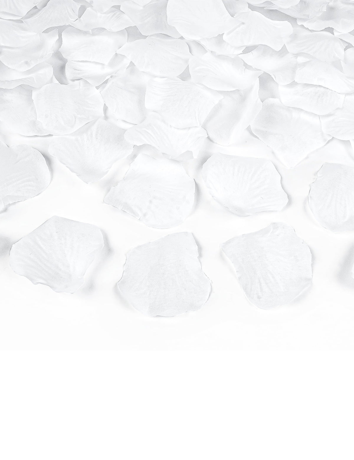 Vue rapprochée des pétales du canon à confettis pétales blanc