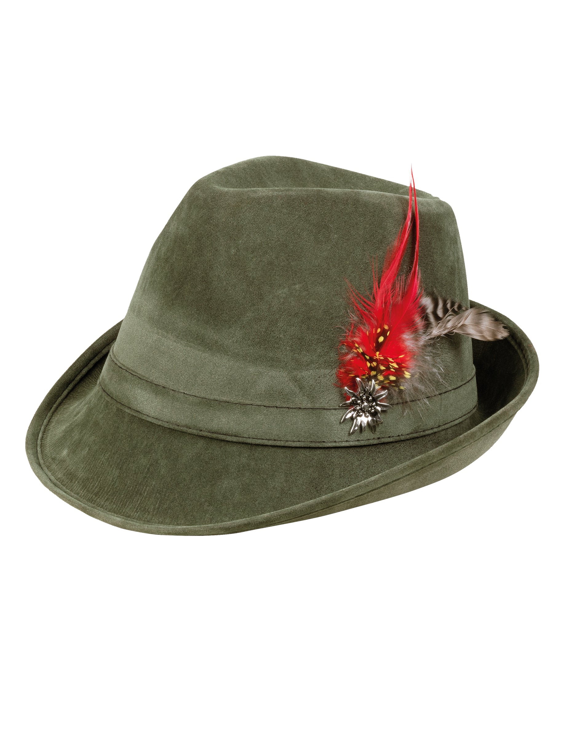 Vue de profil et détails des plumes du chapeau bavarois