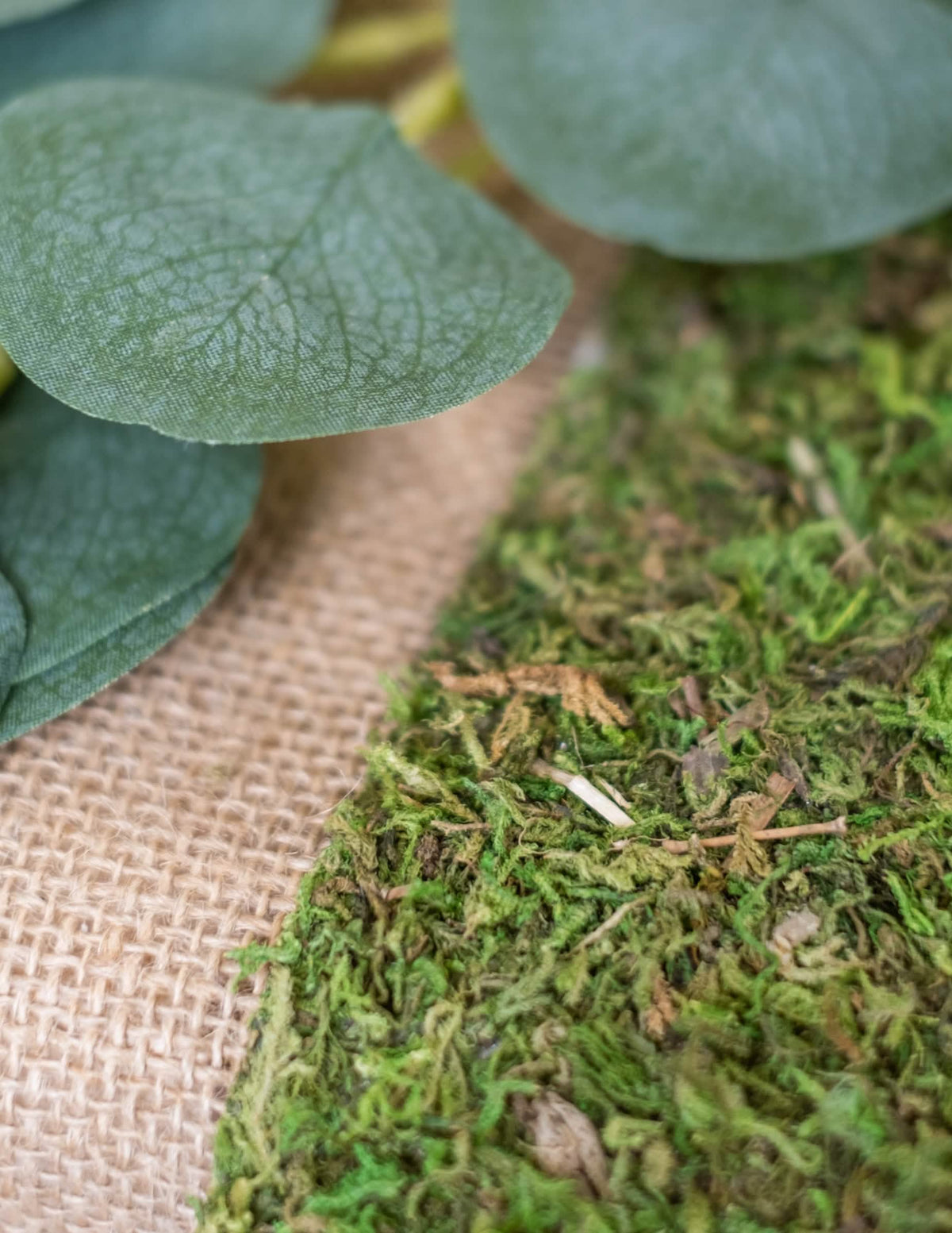 Gros plan sur la mousse et la toile de jute du chemin de table végétal en mousse naturelle pour mariage