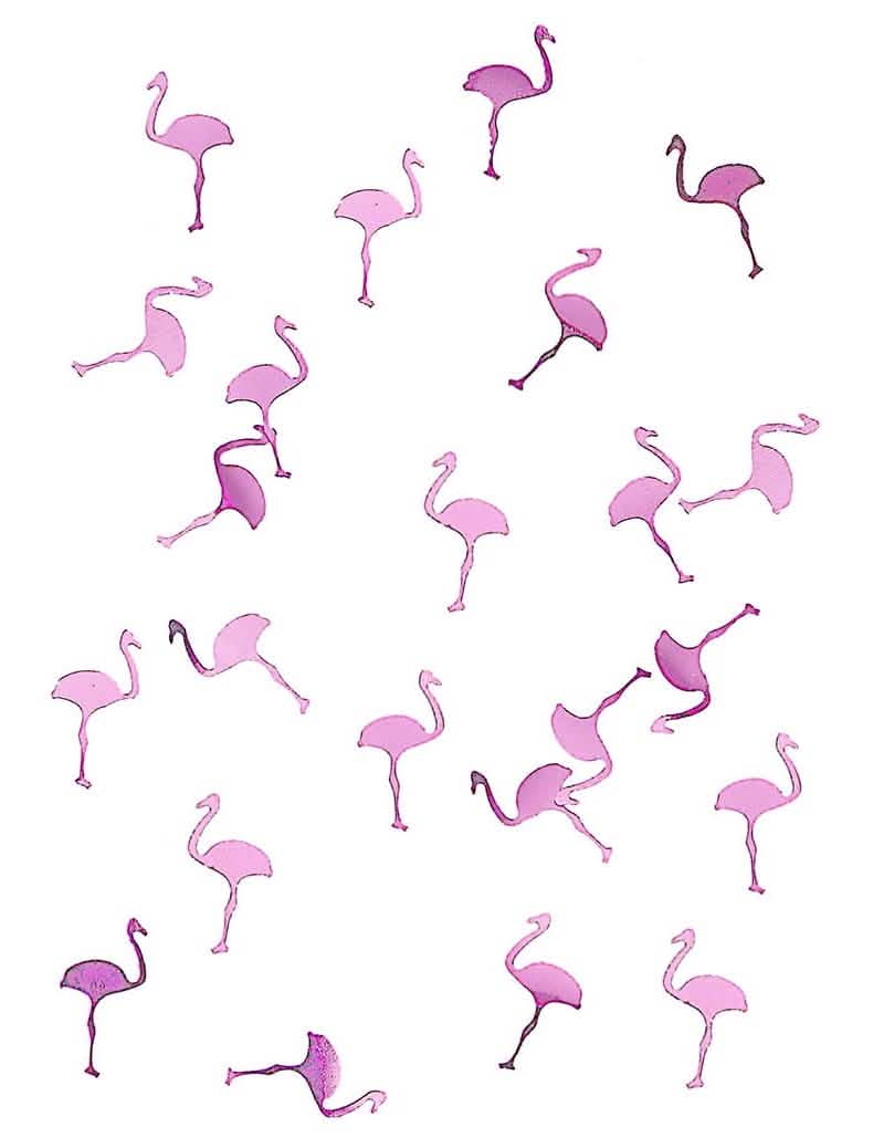 konfetit flamingo vaaleanpunainen koristeeksi juhlaan, kiiltävä vaaleanpunainen