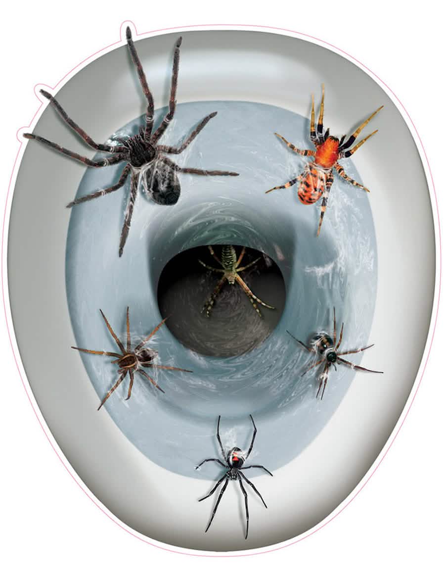 WC:n tarrakoriste halloweeniin, hämähäkit, monivärinen, realistinen