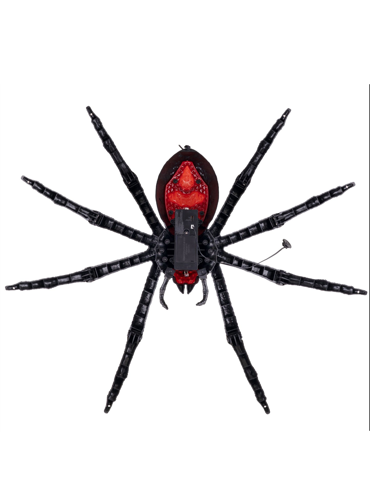 Animoitu tarantella-koriste jalkojen liikkeellä 70 x 15 x 42 cm