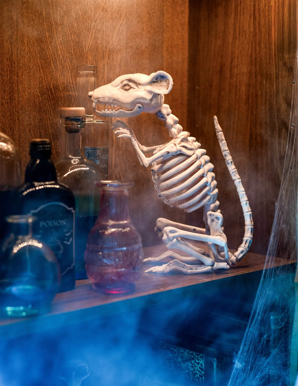 Halloweenin rottaluuranko-koristeasetelma myrkkyhjelmien keskellä