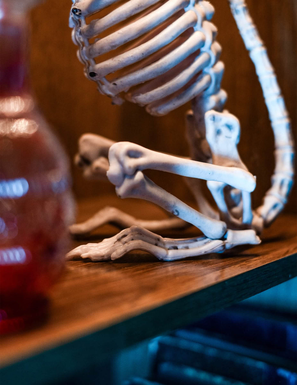 Lähikuva halloweenin rottaluurangon koristeen rintakehästä ja jaloista