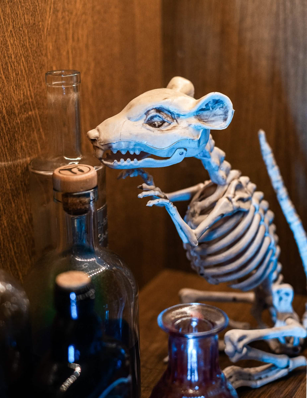 Lähikuva halloweenin luurankorotan koristeen päästä