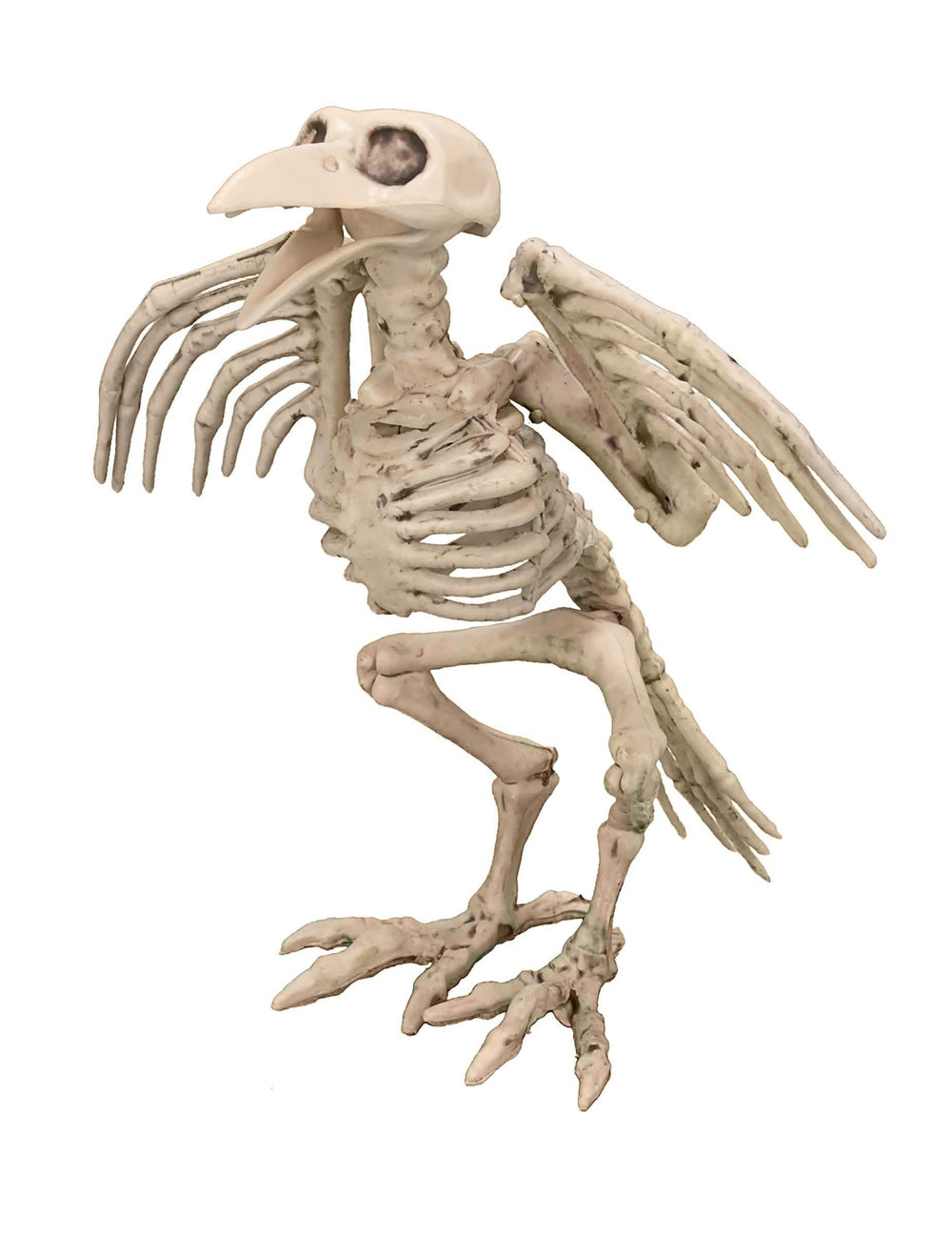 halloween-sisustus korppikallo beige luinen ulkonäkö