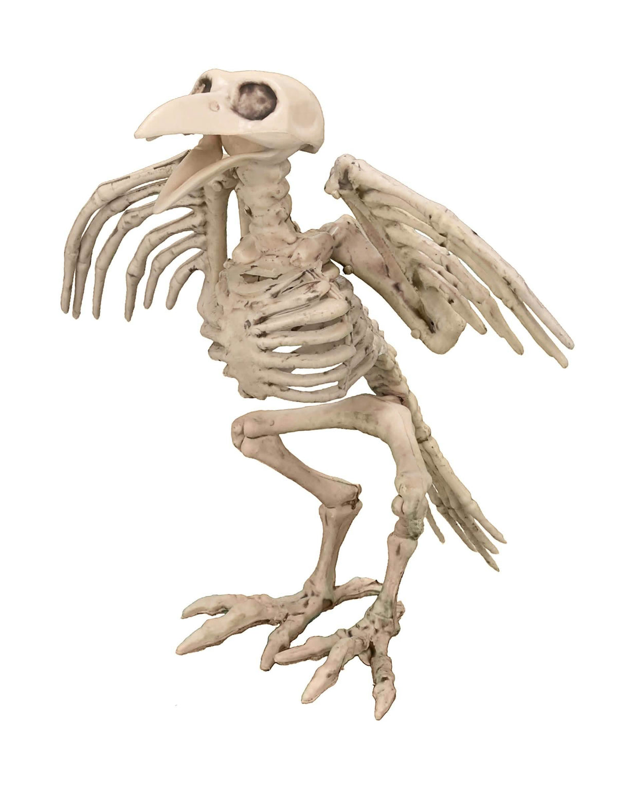 halloween-sisustus korppikallo beige luinen ulkonäkö