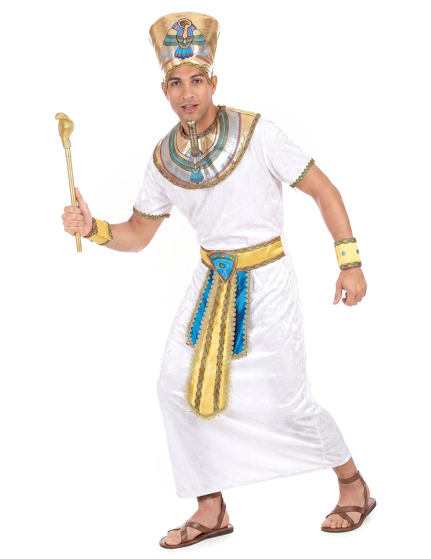 Egyptin kuninkaan asu