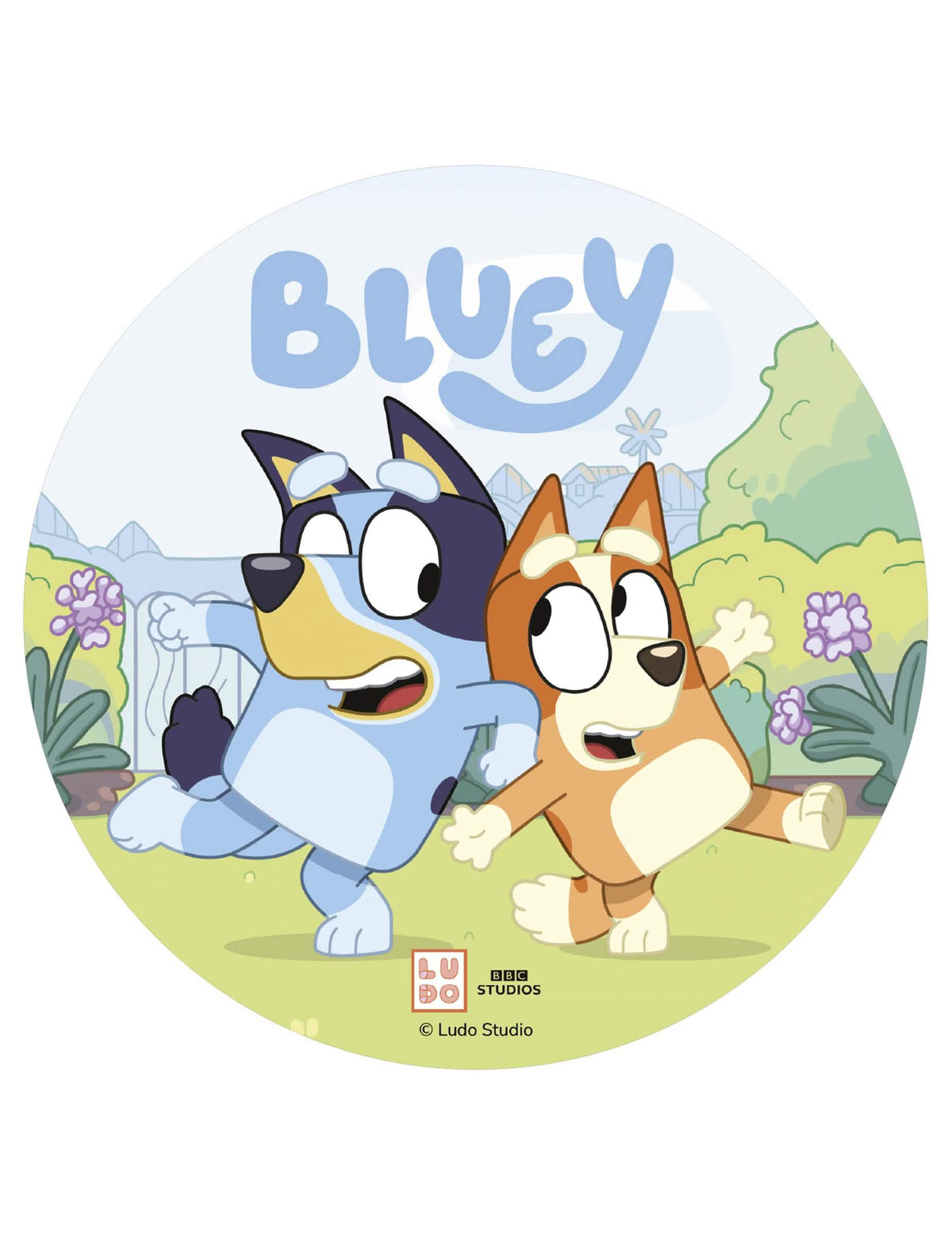 Bluey™ kakkukuva 20 cm